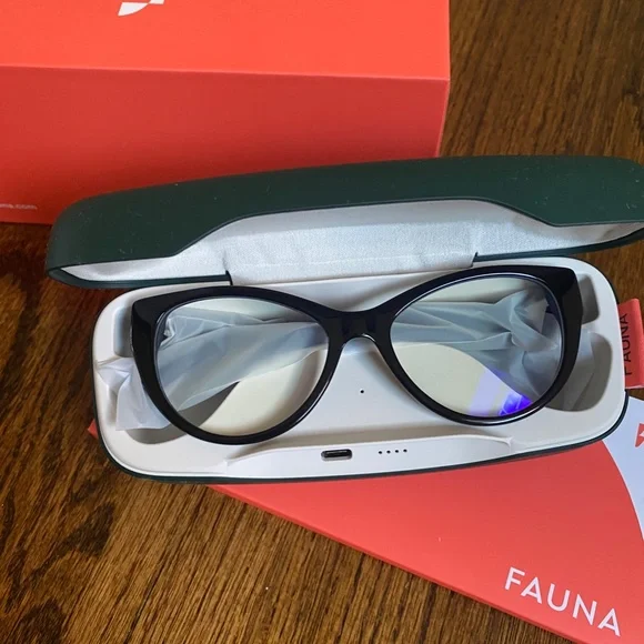 FAUNA Audio Levia Black with charging case Glasses